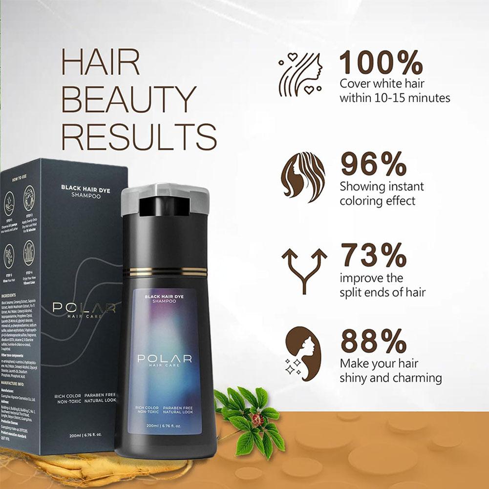 2026 Hair Dye Shampoo For Gray - Purple Toning Shampoo review and price